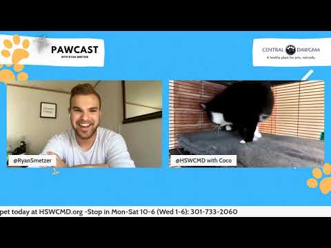 The Pawcast – 6/16: Coco!