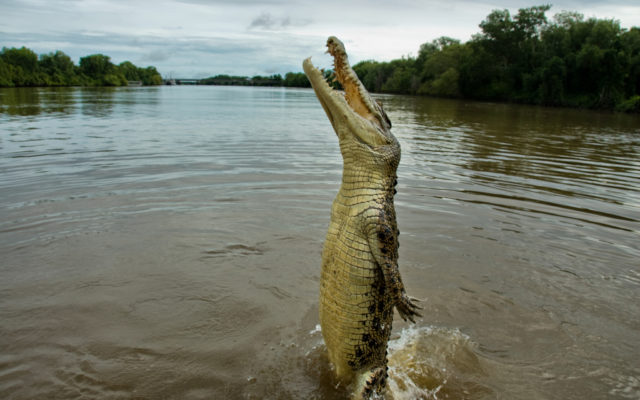 Teen Attacked By Crocodile On Vacation