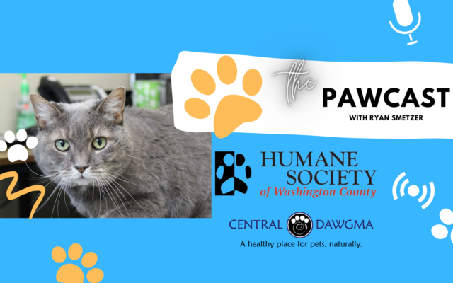 The Pawcast 7/14 – Willow!