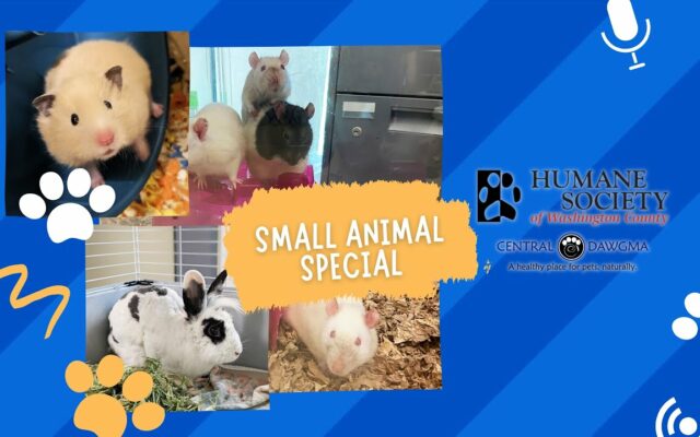 The Pawcast 9/14: Small Animal Special!