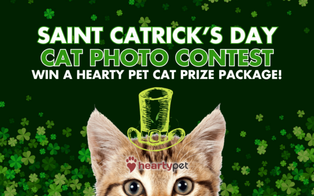 Enter Your Cat & Vote to Win a Hearty Pet Cat Prize Package!